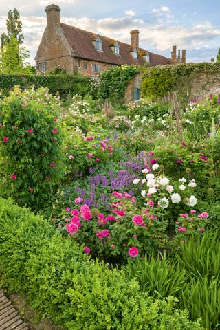 Sissinghurst rose pruning trick : the gardens at sissinghurst in kent filled with beautiful roses