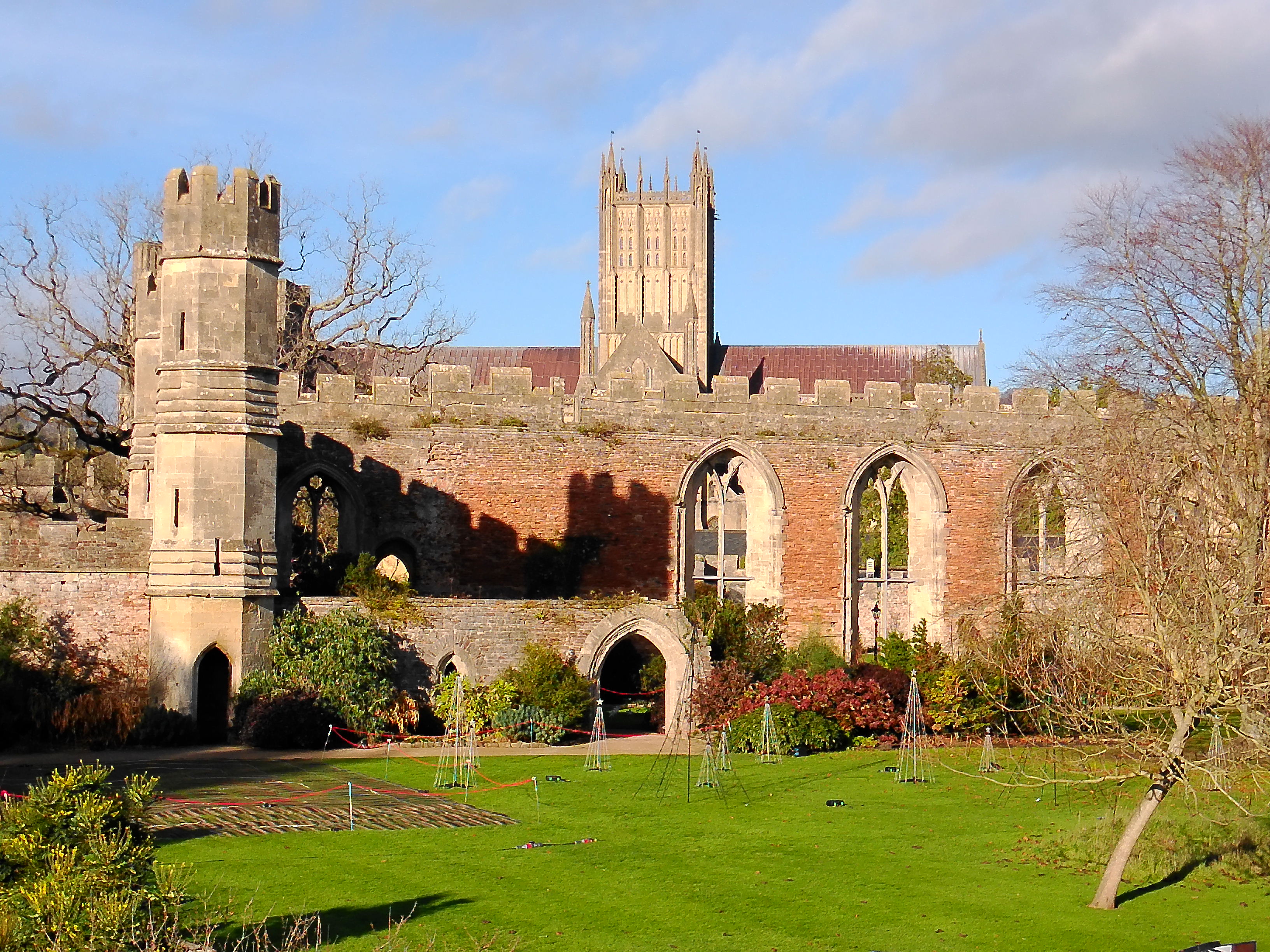 Yashica City 300 example shot