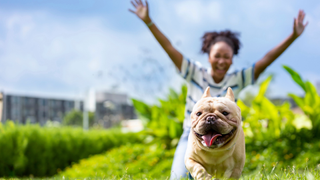 Dog running away from woman in the park