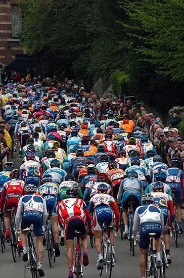 The peloton on a typical narrow, steep Ardennes climb.