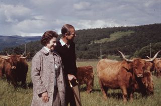 Queen Elizabeth II and Prince Philip in a field with some highland cattle at Balmoral, Scotland, 1972