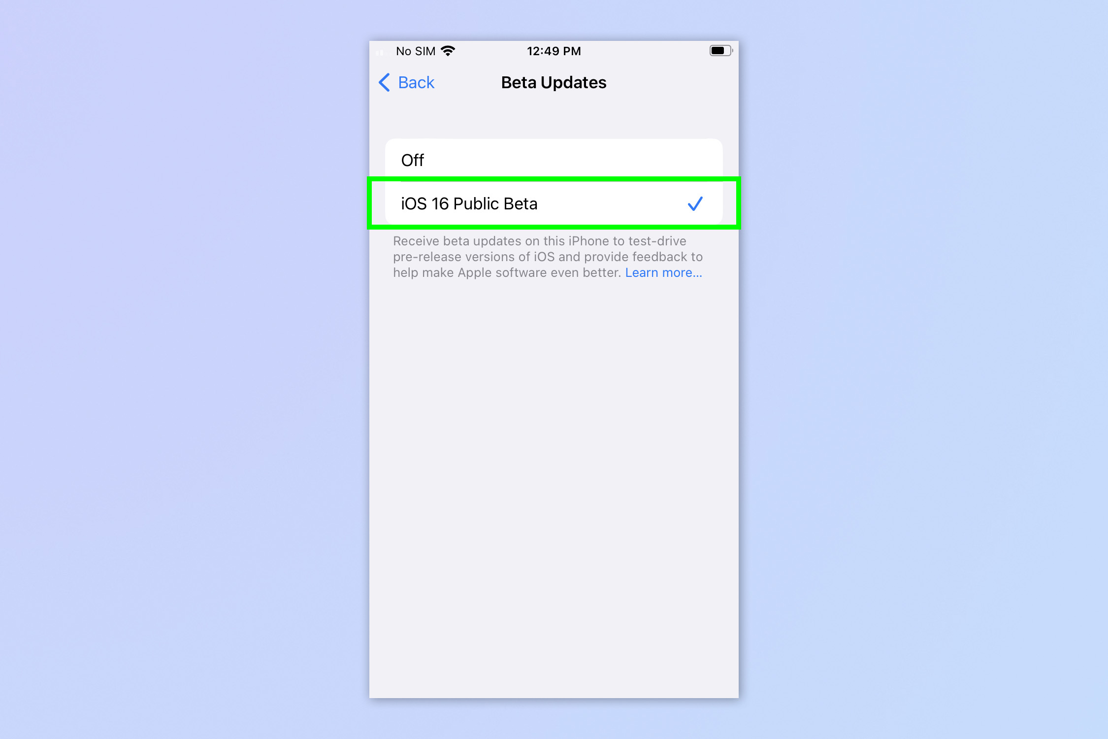 Снимок экрана, показывающий, как включить бета-обновления на iPhone и iPad.