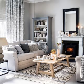 Grey living room with sofa, coffee table, fireplace and bookshelves