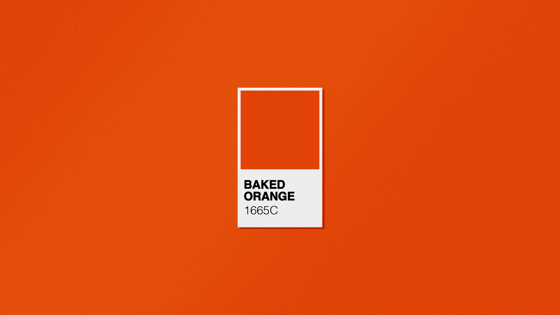 Warburtons new packaging design