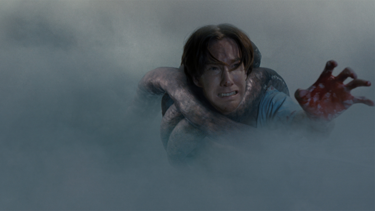 Chris Owen as Norm, a bag boy, getting pulled into The Mist