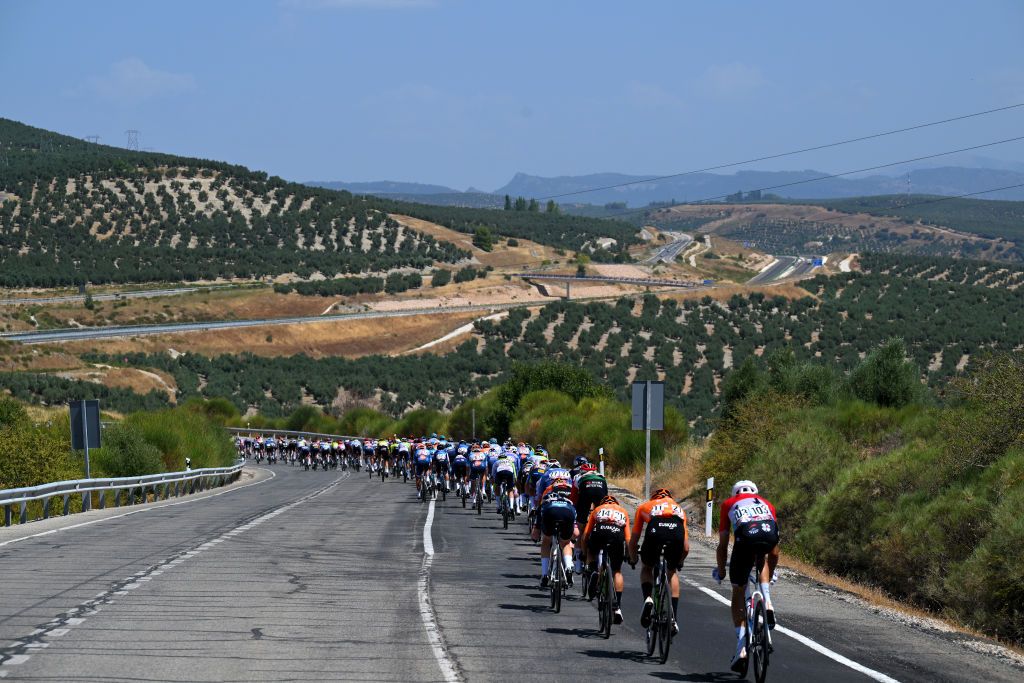 CAZORLA SPAIN AUGUST 24 A general view of the peloton competing during the La Vuelta 79th Tour of Spain 2024 Stage 8 a159km stage from Ubeda to Cazorla 1056m UCIWT on August 24 2024 in Cazorla Spain Photo by Tim de WaeleGetty Images