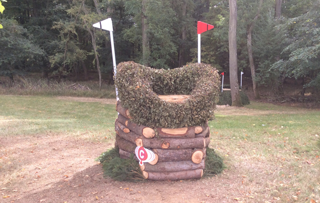 Blenheim Fences 2018