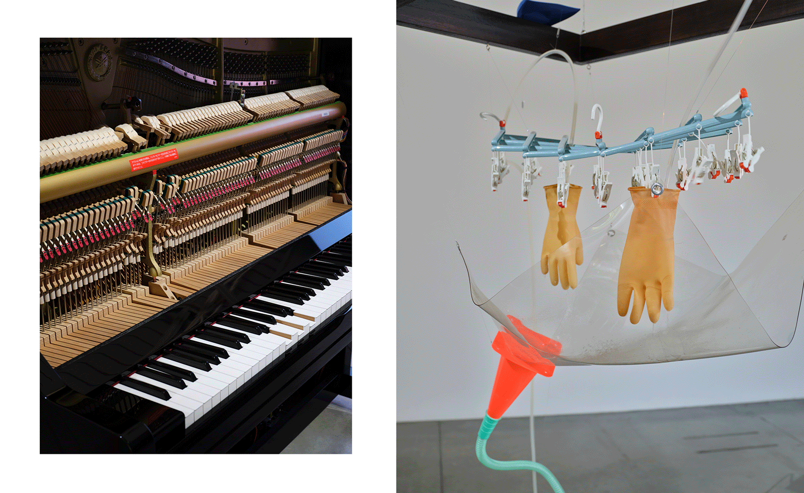 installation view