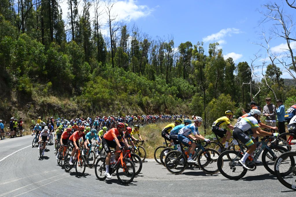 Peloton climbs Fox Creek Hill