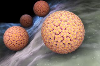 Drawing of an HPV virus.