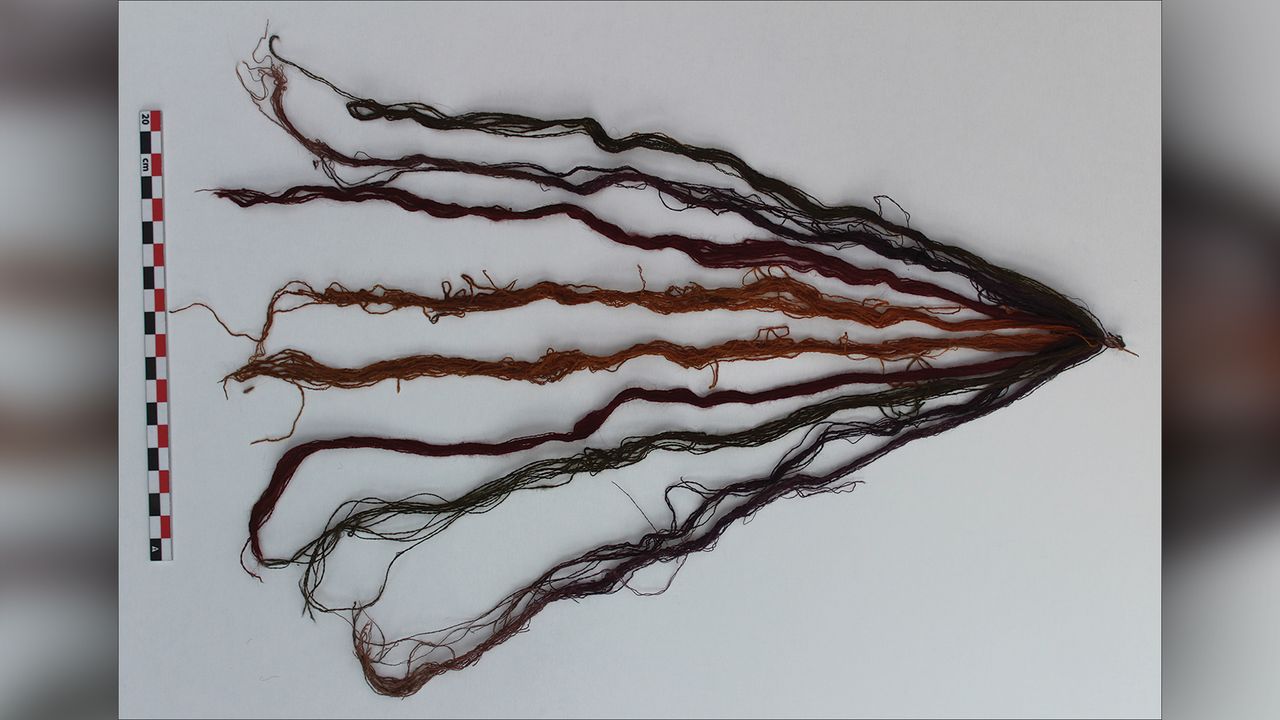 These colorful strings were attached to the ear of one of the white llamas.