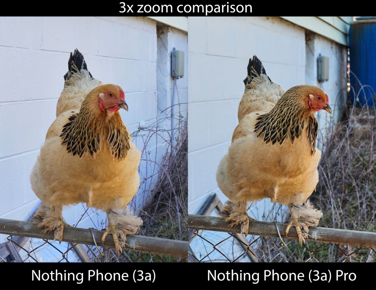 Comparing camera zoom detail between the Nothing Phone 3a and Phone 3a Pro