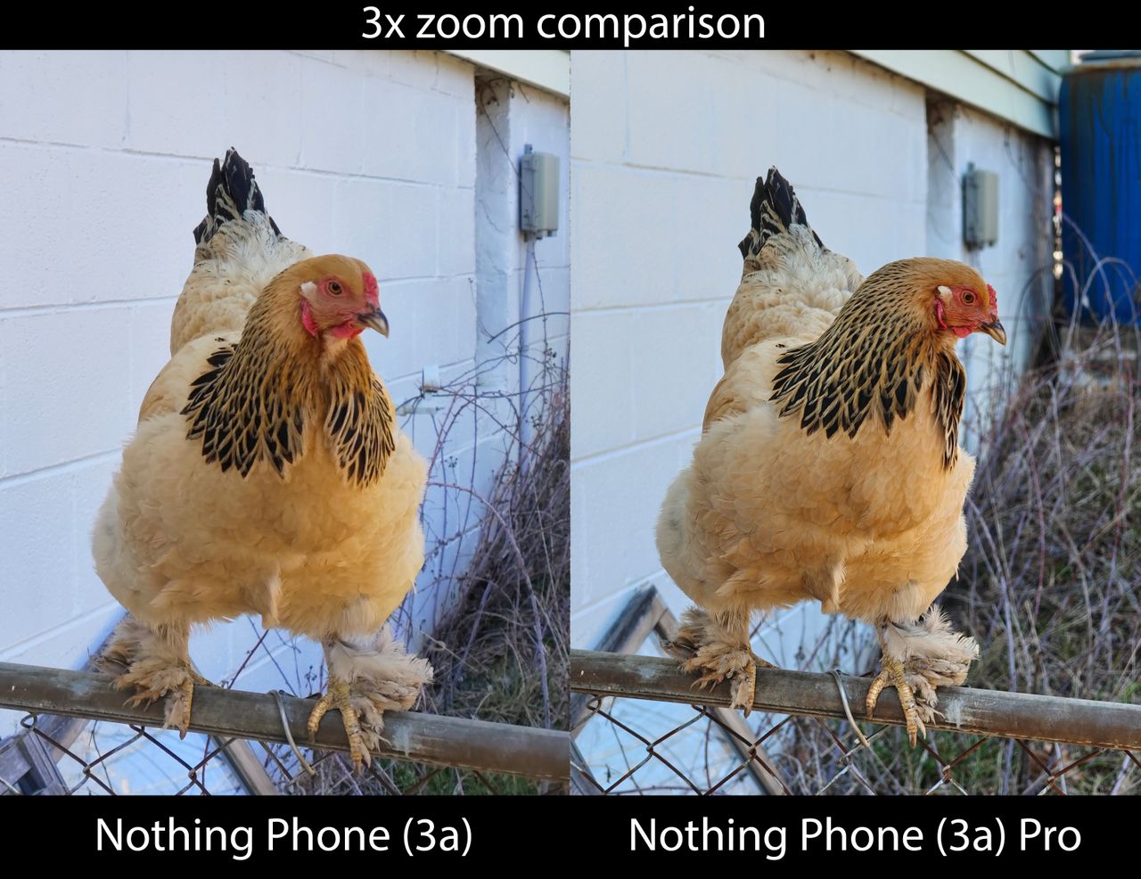 Comparing camera zoom detail between the Nothing Phone 3a and Phone 3a Pro