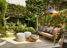 a small garden with pleached trees, climbing plants and a stylish seating area