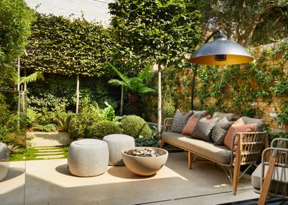 a small garden with pleached trees, climbing plants and a stylish seating area