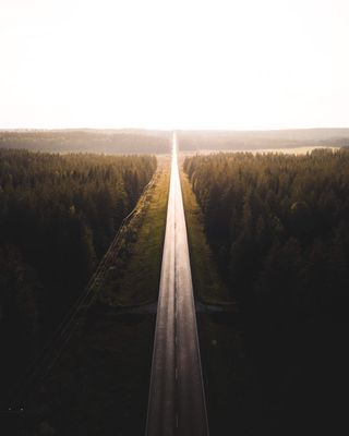 Highway through forest, from above