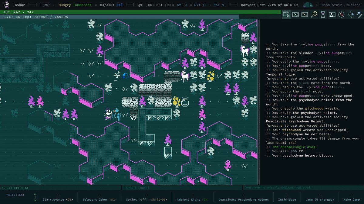 Caves of Qud