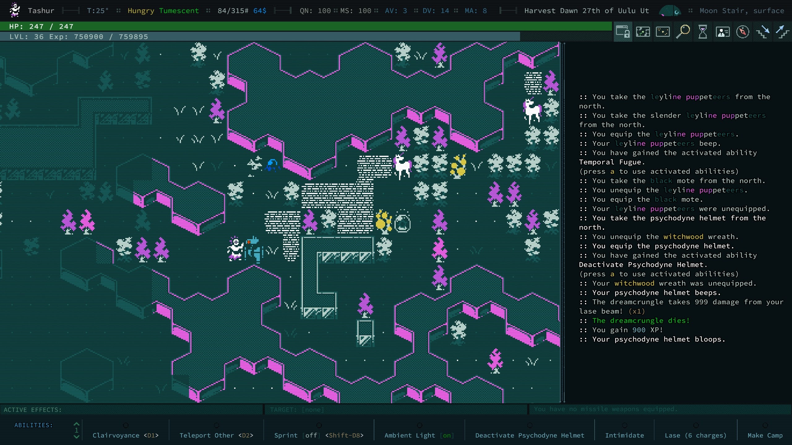 Caves of Qud