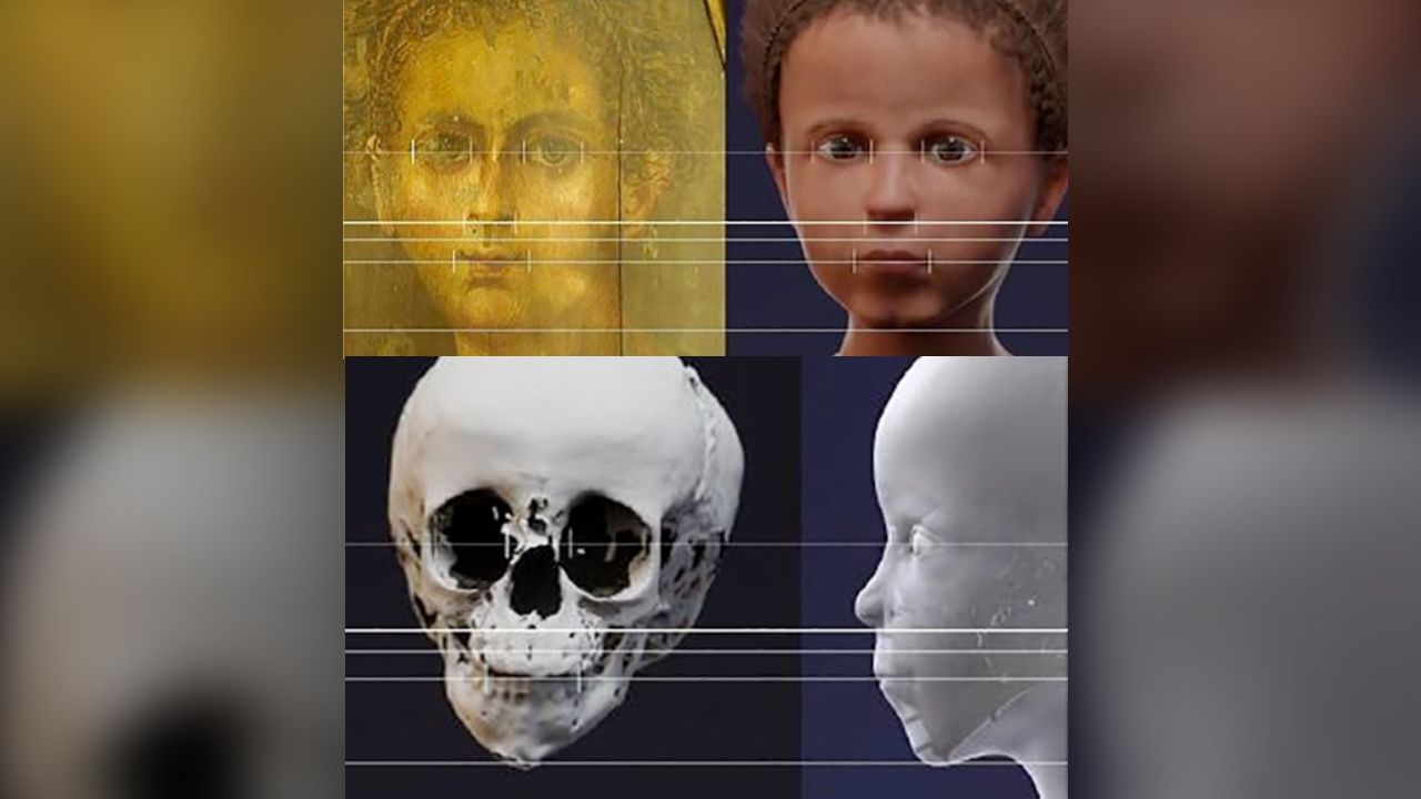This series shows the mummy portrait, facial reconstruction and the digitally recreated skull and face.