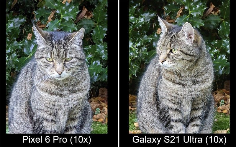 Pixel 6 Pro Vs Galaxy S21 Ultra Zoom 10x