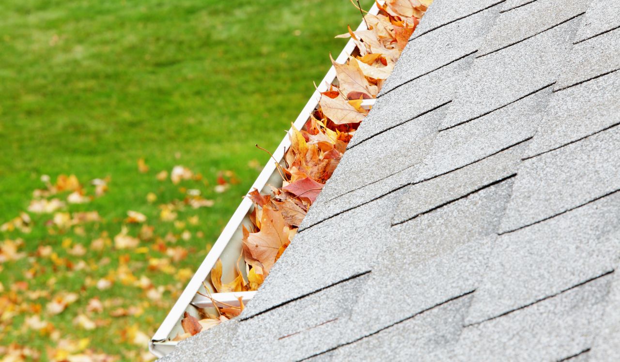 fallen leaves clogging a gutter