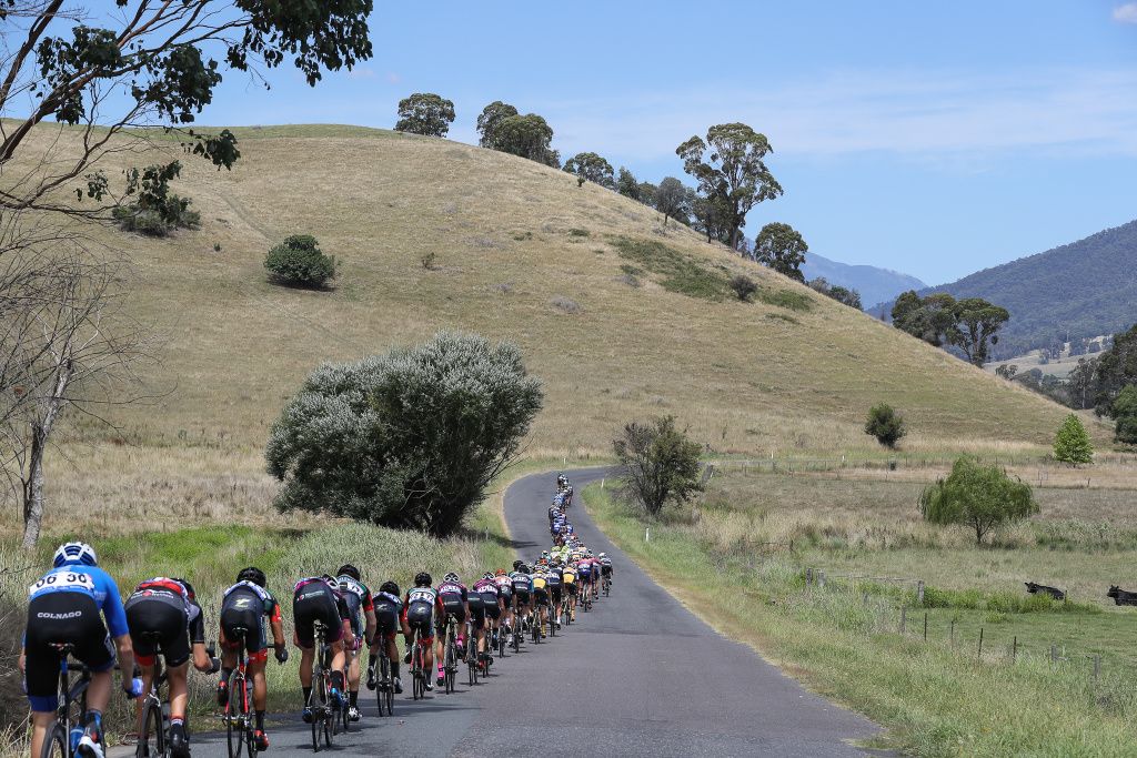 The peloton in a long single file line