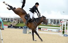 Robert_WHITAKER_Bolesworth15pn_19340.jpg