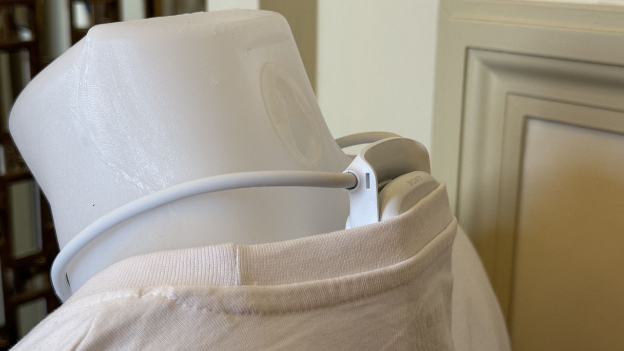 Sony Reon Pocket 5 on neck
