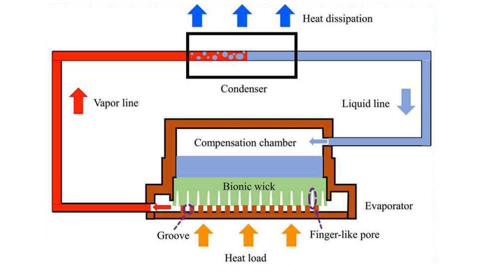 Design idea of the bionic wick - schematic diagram of the operating principle of a loop heat pipe