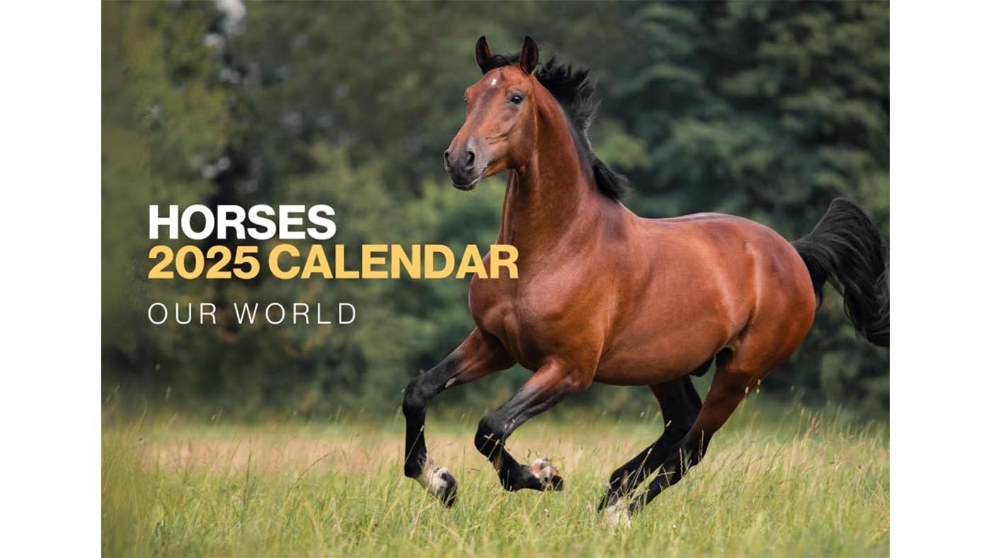 Horses 2025 calendar
