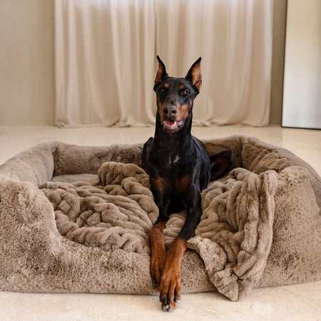 The Lola Pet Bed | Desert Dune