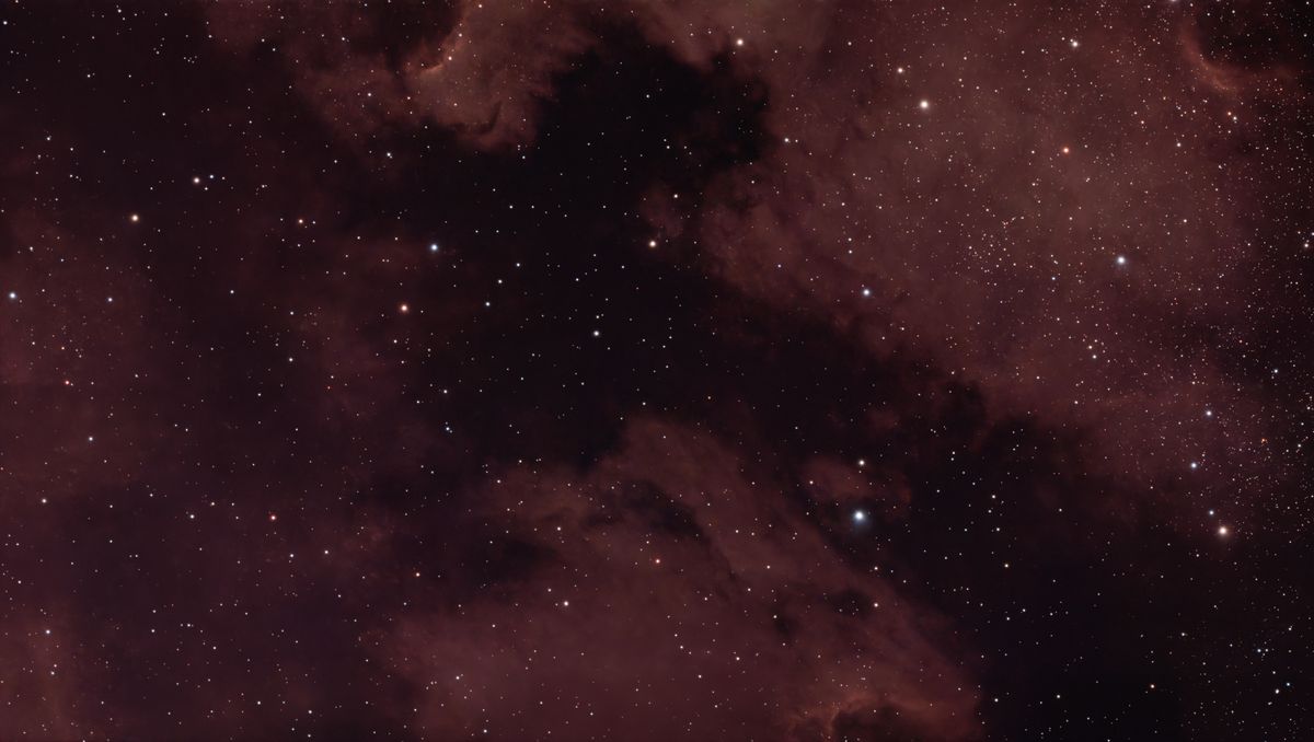 A photograph of the Pelican Nebula, taken with the Dwarf III smart telescope, processed in Pixinsight