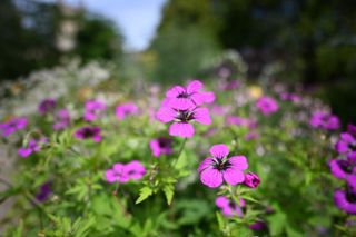 Nikon Z 20mm f/1.8 S sample image