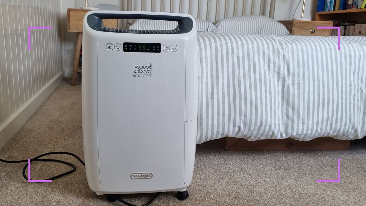 De&#039;Longhi Tasciugo AriaDry DEX216RF dehumidifier in a bedroom