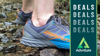 Dynafit alpine trail running shoes deals image