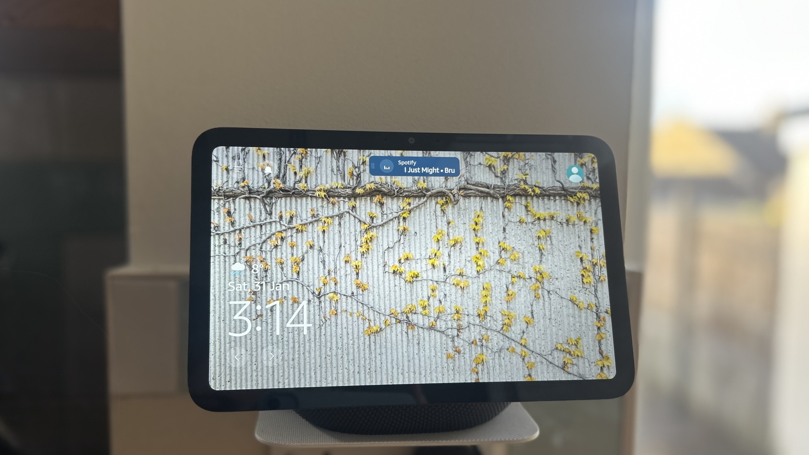 Amazon Echo Show 8 (4th gen, 2025) review