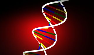 dna practical experiments