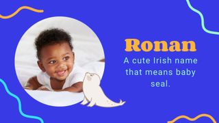 Animal baby names - ROnan