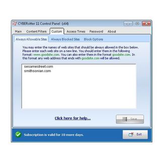 Cybersitter image: You can select custom website preferences, such as blocking certain sites and allowing others by URL.