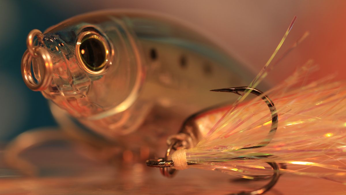 How to choose the right fishing hook Jhooks, circle hooks, barbed v