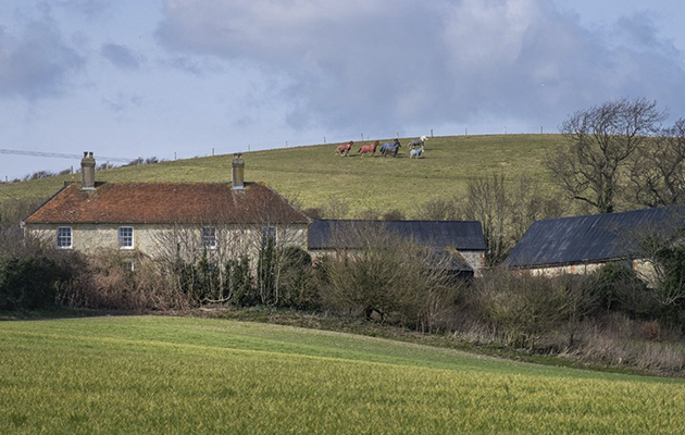 Hill Farm