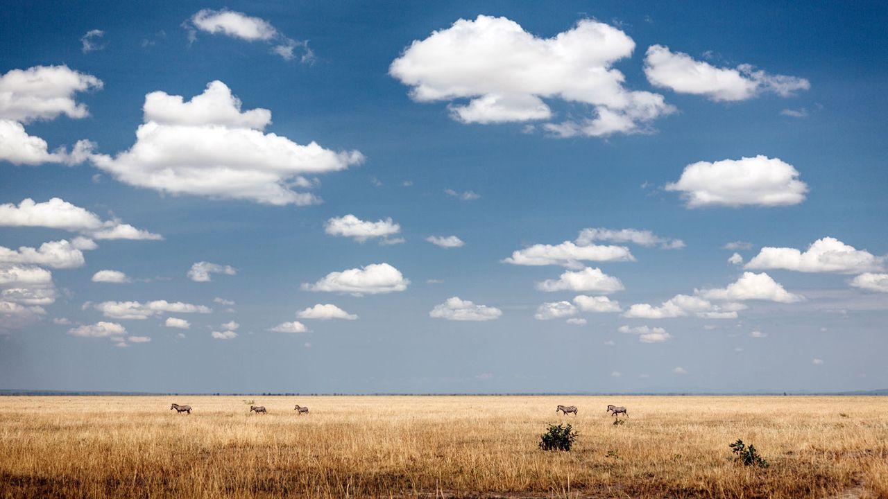 The Chada plains in Katavi National Park, Tanzania