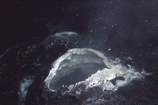 A "snowblower" hydrothermal vent spews hot water and white bits of bacterial mat that are blooming in the chemical-rich hot-spring water, showing that the lava flow that was erupted in 2011 at Axial Seamount is still cooling.