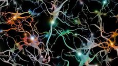 Illustration of brain cells showing electrical firing.