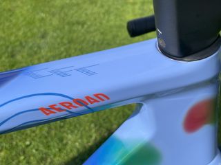 Van der Poel's MyCanyon bike designed my Elena Salmistraro