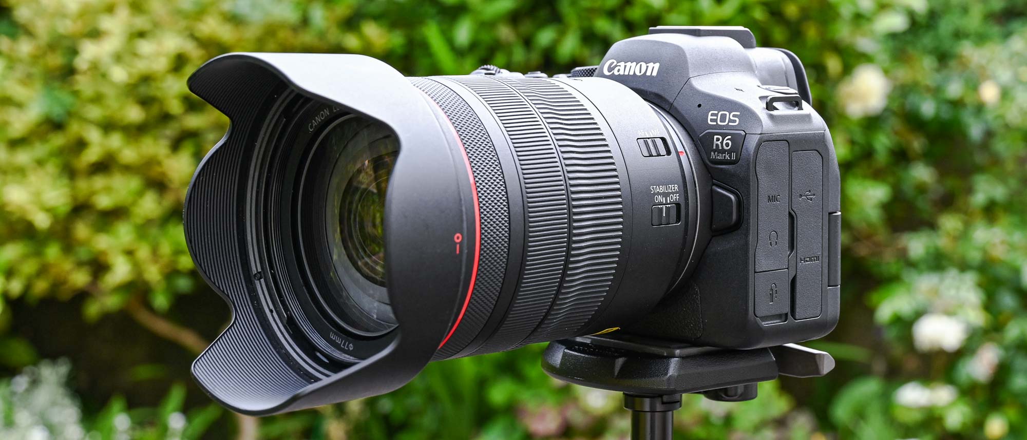 Canon EOS R6 Mark II + RF 50mm f/1.2 L USM