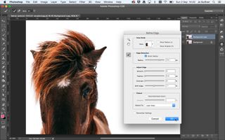 Screenshot of horse's face in Photoshop