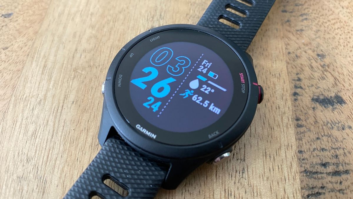 Garmin Forerunner 255