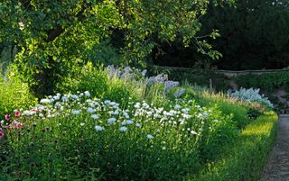 The garden at Banks Fee, Gloucestershire