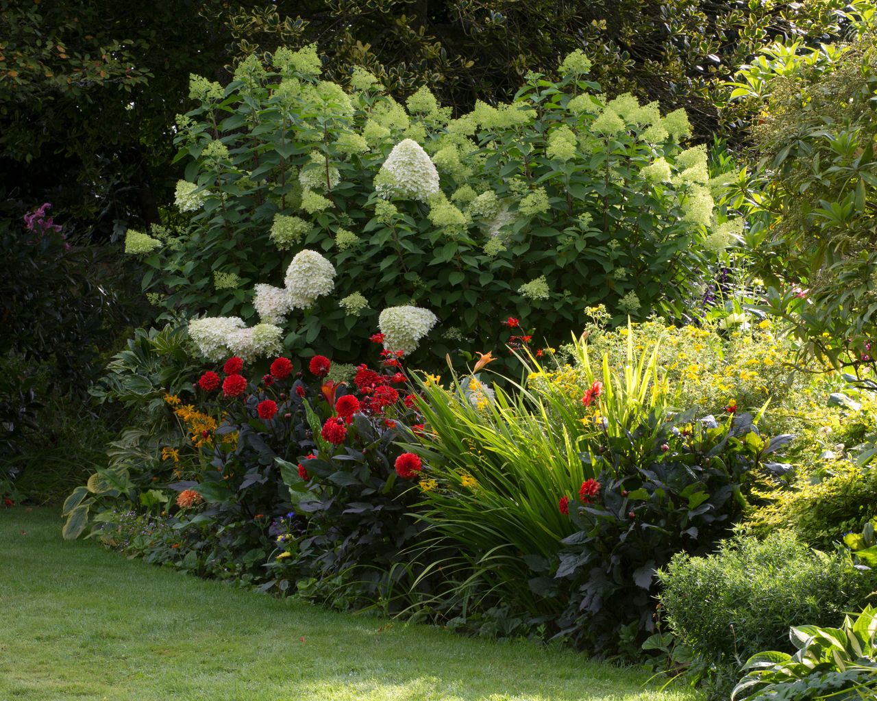 How to grow hydrangeas when, where and how to plant them Homes & Gardens